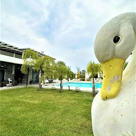 White Diamond With Private Pool For Group Up To 12 Villa Kamena Vourla
